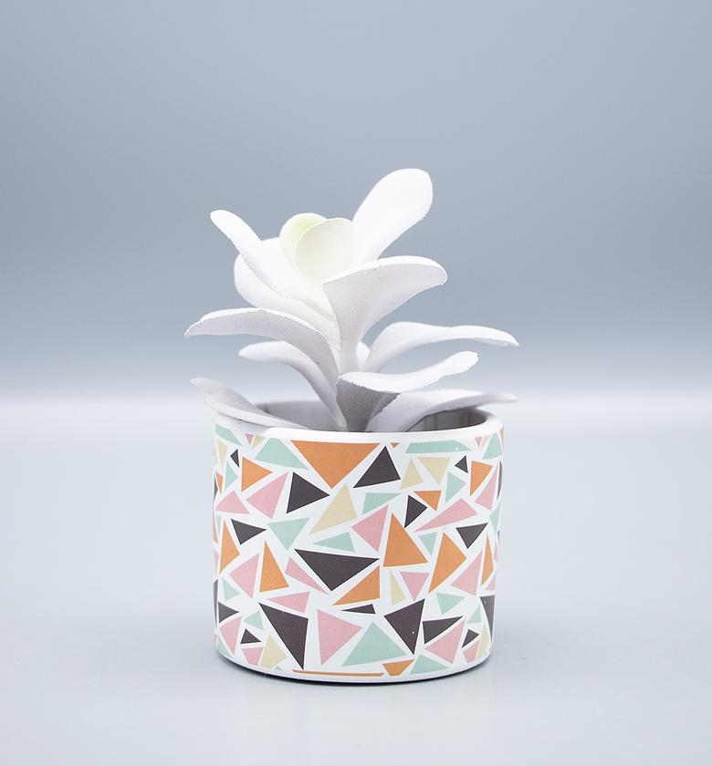 Succulent in Ceramic Pot image