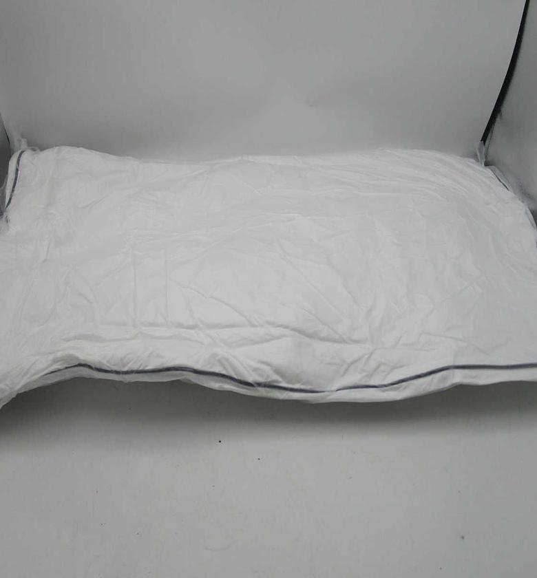 Pillow white w double piping image