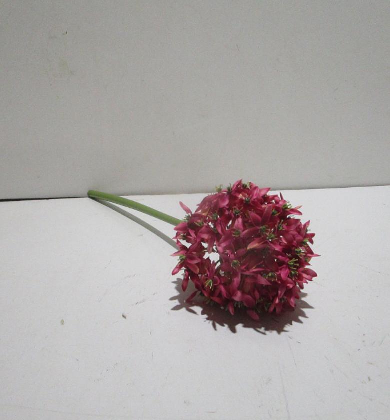 Ball flowers #ref:ch04005385 72 image