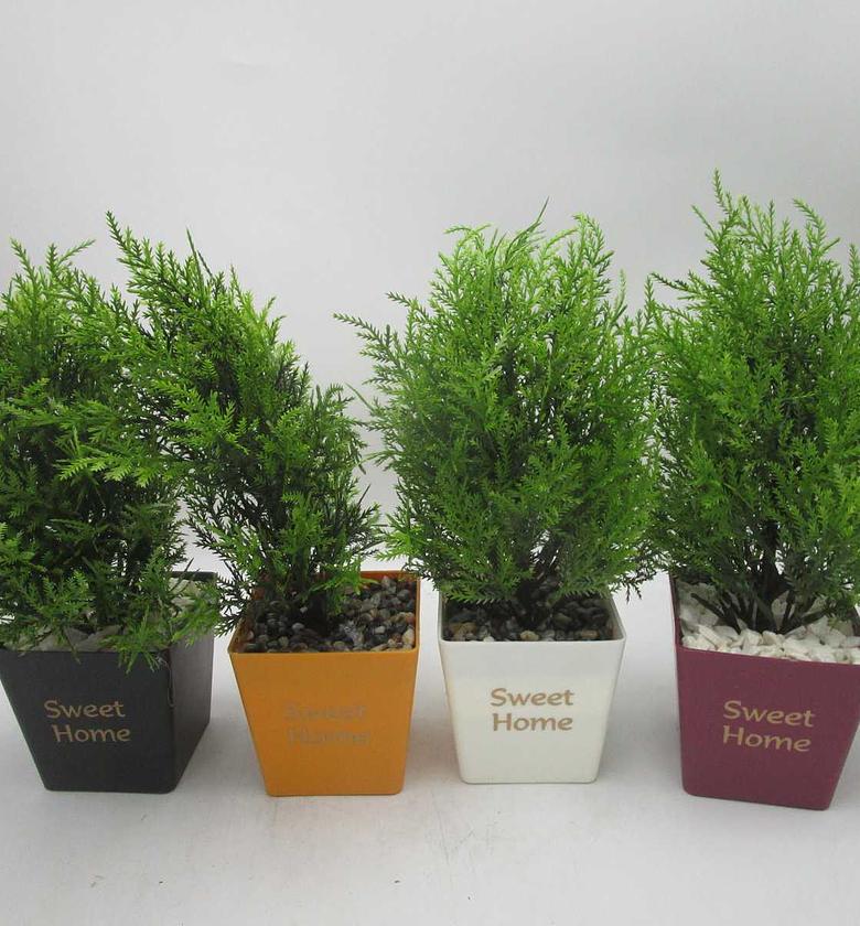 Artificial small tree pot image