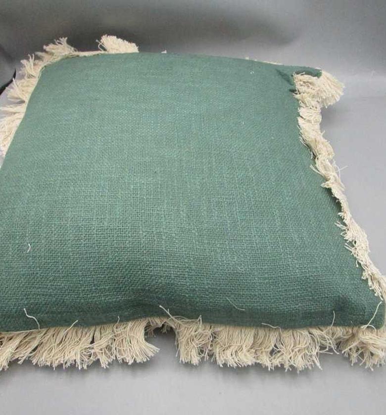 Cushion : front in cotton image