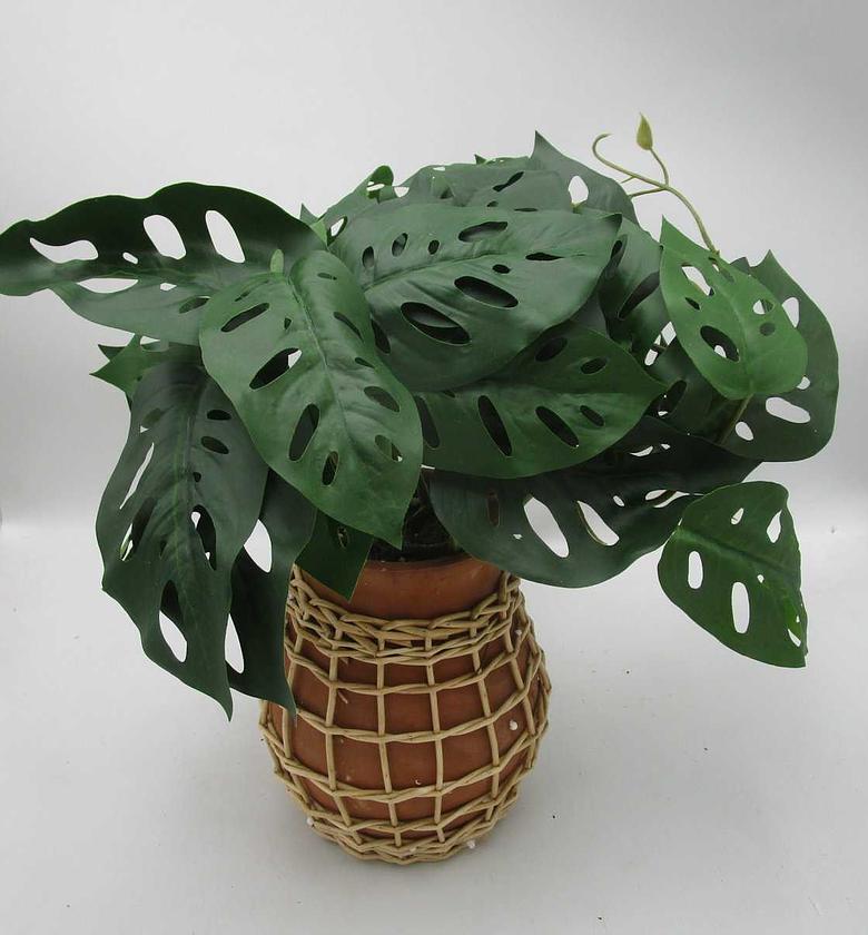 Artificial monstera in ce image