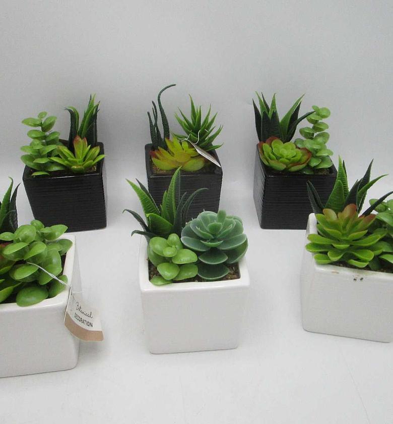 Artificial plant ceramic  image