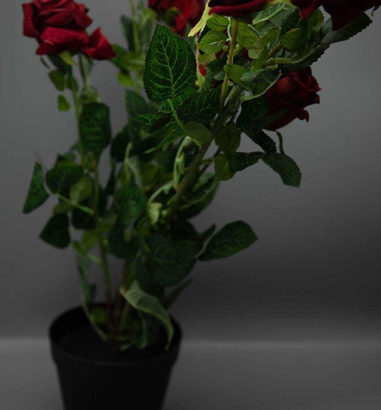 Artificial red rose plant image