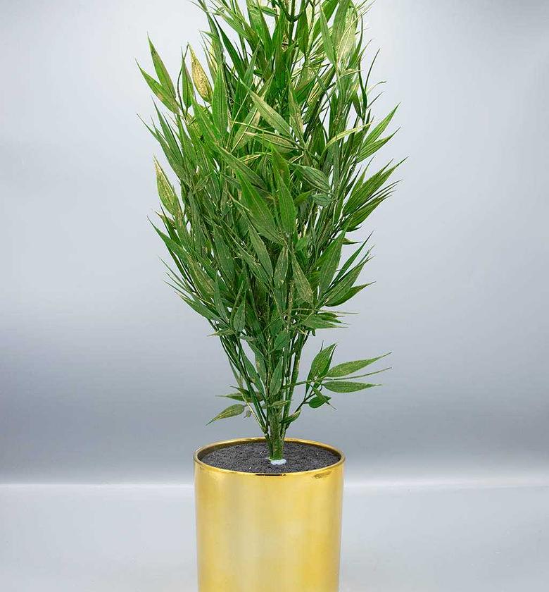 Artificial sprayed bamboo image