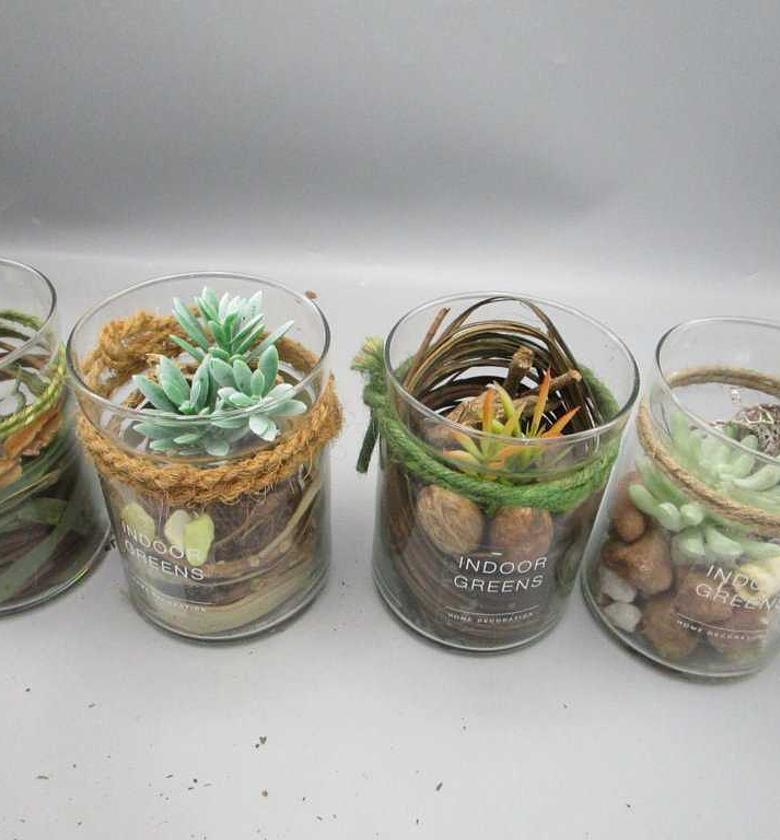 Artificial succulent plan image