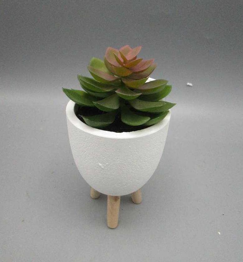 Succulent on Stand image