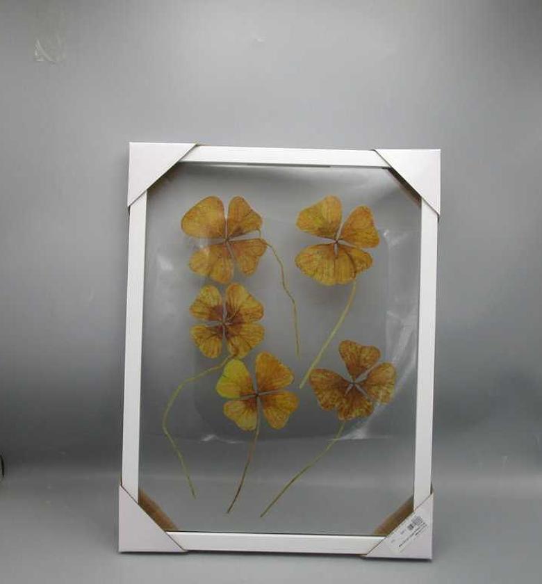 Photo frame 30*40cm plast image